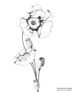 Elegant Poppy Tattoo Sketch: Delicate Floral Art – Мастер №1 – 05.05.2026 21-19