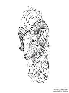 Photo-to-sketch – Standard – Photo-to-Sketch [fd0438]